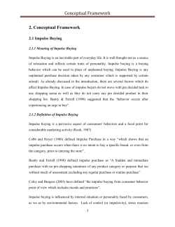 Conceptual Framework