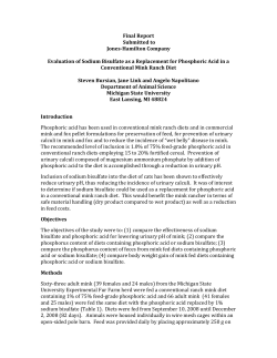 Final Report - Jones