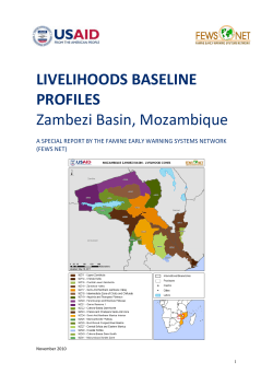 Livelihood Baselines Profiles: Zambezi Basin, Mozambique