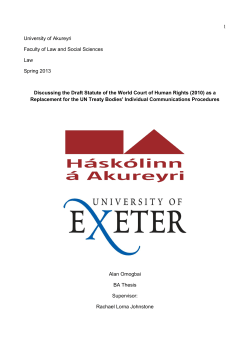 2. UN Treaty Bodies` Individual Communications