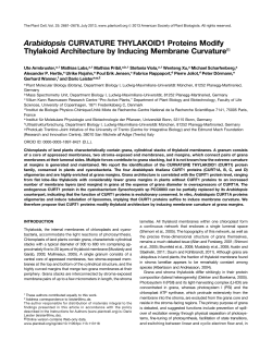 Arabidopsis CURVATURE THYLAKOID1 Proteins Modify Thylakoid