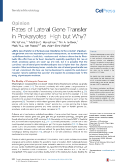 Rates of Lateral Gene Transfer in Prokaryotes: High but Why?