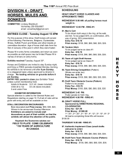 Department 04 Heavy Horse