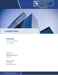 CB Flyer - Lovejoy Rd 1.64 Acres