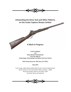 Interpreting the Brass Tack and Other Patterns on the Custer