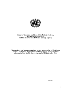Panel of External Auditors of the United Nations, the Specialized