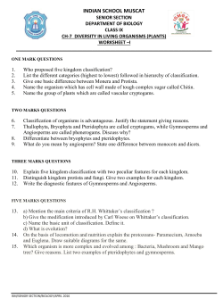 class ix_chapter 7_diversity and living organism worksheet 1 and 2