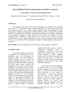 Insect pollinator diversity and abundance in sunflower