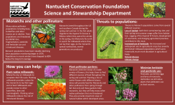 Monarchs and other pollinators - Nantucket Conservation Foundation