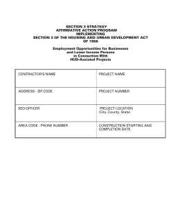 SECTION 3 STRATEGY AFFIRMATIVE ACTION PROGRAM