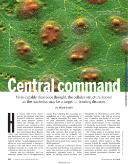 More capable than once thought, the cellular structure known as the