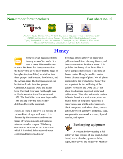 Honey - NTFPINFO.US Website Homepage