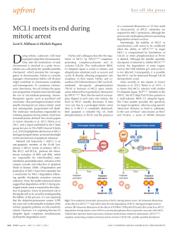 MCL1 meets its end during mitotic arrest