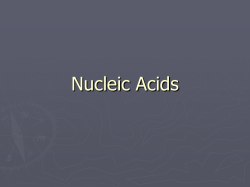 Nucleic Acids