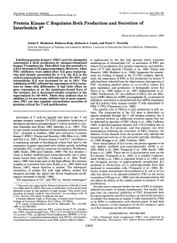 Protein Kinase C Regulates Both Production and