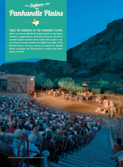Panhandle Plains