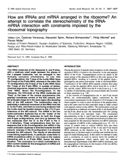 An attempt to correlate the stereochemistry of the tRNA
