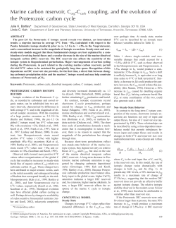 Marine carbon reservoir, Corg-Ccarb coupling, and the evolution of