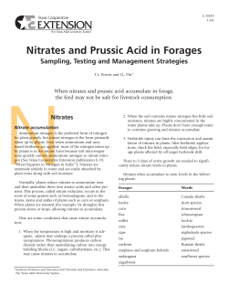Nitrates and Prussic Acid in Forages