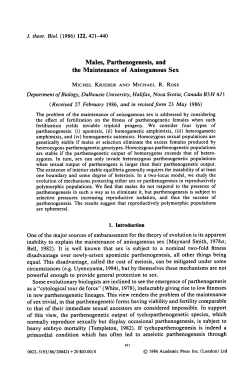 Males, Parthenogenesis, and the Maintenance of Anisogamous Sex