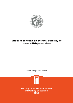 Effect of chitosan on thermal stability of horseradish