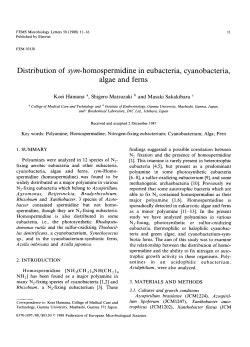Distribution of sym-homosperimidine in eubacteria, cyanobacteria