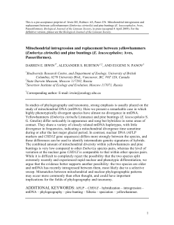 Mitochondrial introgression and replacement between