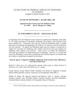 STATE OF TENNESSEE v. ELAHU HILL, JR.