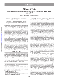 PDF - Circulation Research