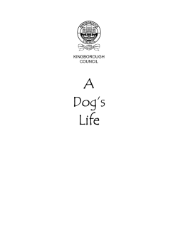 A Dogs Life - Kingborough Council