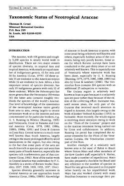 Croat T. B., 1994, Taxonomic status of