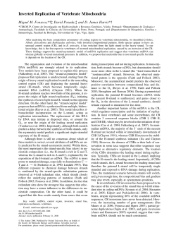 Inverted Replication of Vertebrate Mitochondria