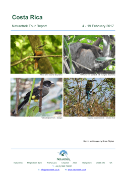 Costa Rica - Naturetrek