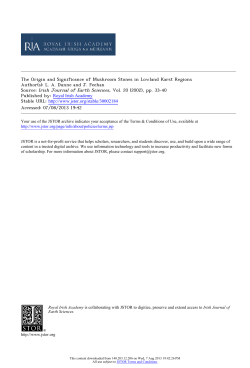 The Origin and Significance of Mushroom Stones in Lowland Karst