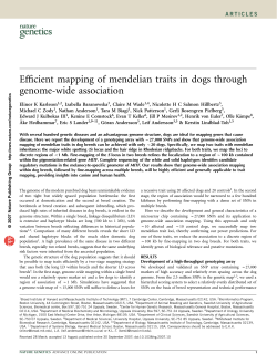 Efficient mapping of mendelian traits in dogs through genome