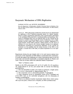 Enzymatic Mechanisms of DNA Replication