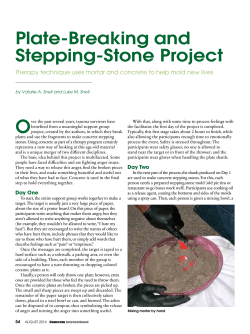 Plate-Breaking and Stepping-Stone Project