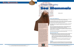 Unit - Sealaska Heritage