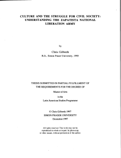 Culture and the struggle for civil society