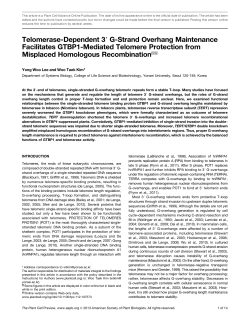 Telomerase-Dependent 39 G-Strand Overhang