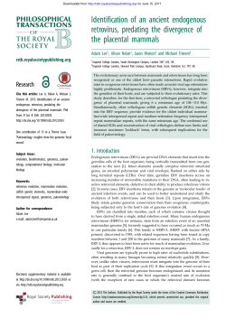 Identification of an ancient endogenous retrovirus, predating the