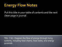 Succession: Equilibrium in Ecosystems
