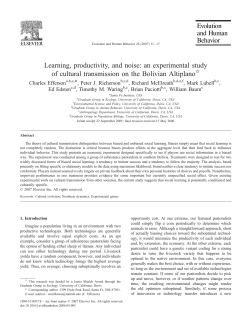 Learning, productivity, and noise: an experimental study of cultural