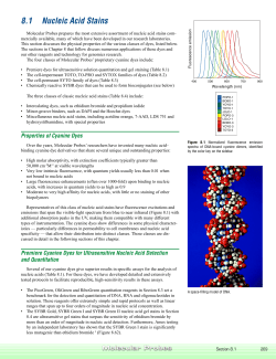 Section 8.1 - Nucleic Acid Stains