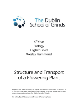 Structure and Transport of a Flowering Plant