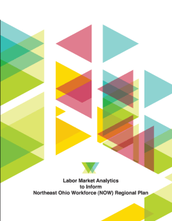 Labor Market Analytics Report to Inform the NOW Regional Plan