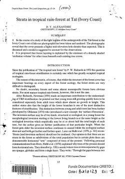 Strata in tropical rain-forest at Ta&iuml; (Ivory Coast)