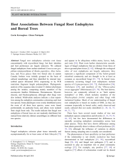 Host Associations Between Fungal Root Endophytes and