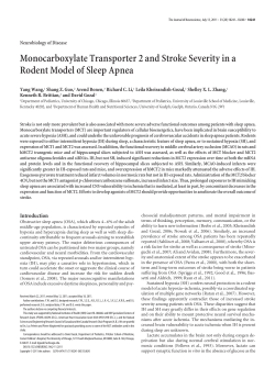 Monocarboxylate Transporter 2 and Stroke Severity in a Rodent