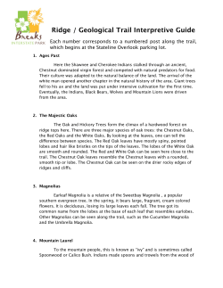 Ridge : Geological Trail Interpretive Guide